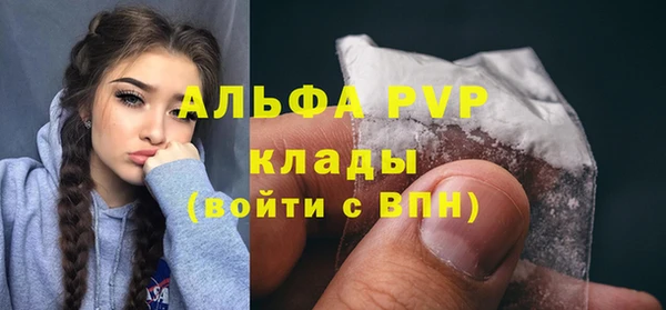прущие грибы Горнозаводск