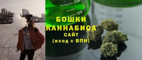 прущие грибы Горнозаводск