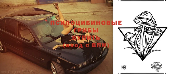 mdpv Горняк