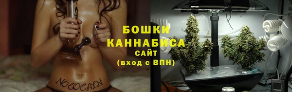 прущие грибы Горнозаводск