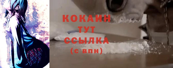 прущие грибы Горнозаводск