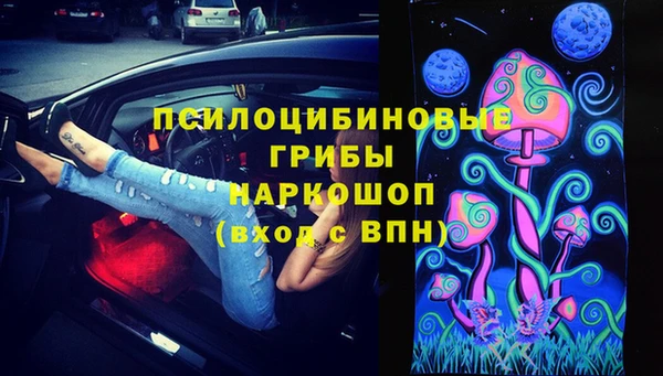 mdpv Горняк