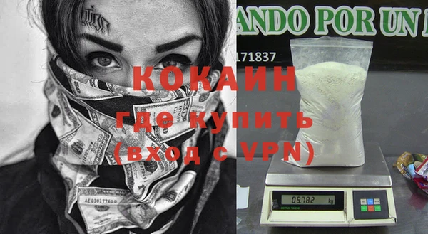 прущие грибы Горнозаводск