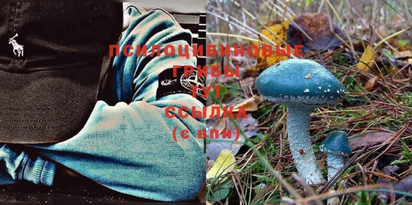 a pvp Горно-Алтайск