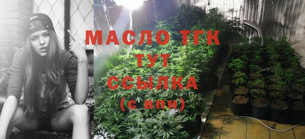 прущие грибы Горнозаводск