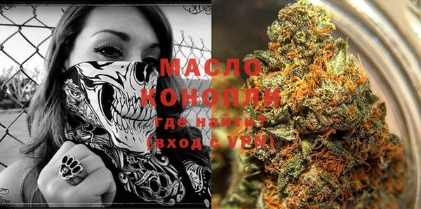 mdpv Горняк