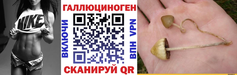 Псилоцибиновые грибы мухоморы  Купить  Райчихинск 
